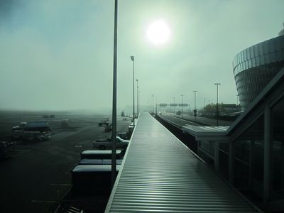 IMG_0101