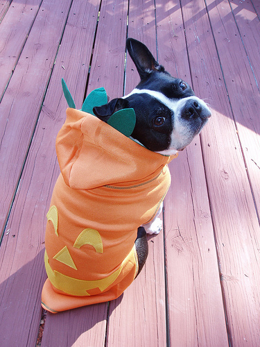 Virginia at Halloween 2010