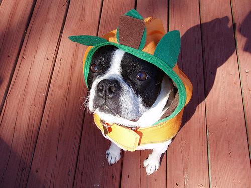 Virginia at Halloween 2010