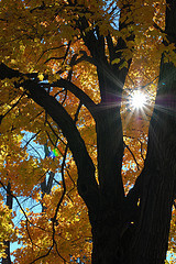 flare