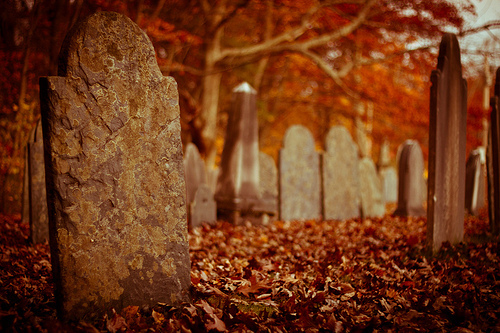 Happy halloween!