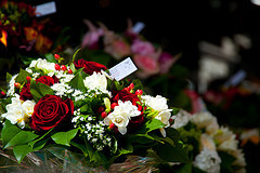 Paris - Flowers in the Latin Quarter 2