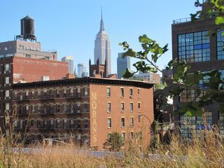 IMG_1561