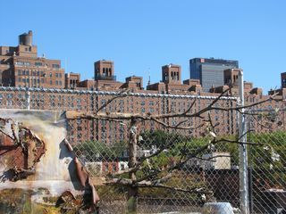 IMG_1571