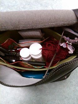 Purse2