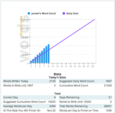 NaNoWriMo 2010 Day 10
