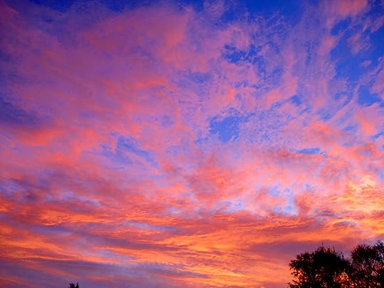 morning-glory-2.jpg