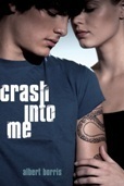 Crash Into Me Cover