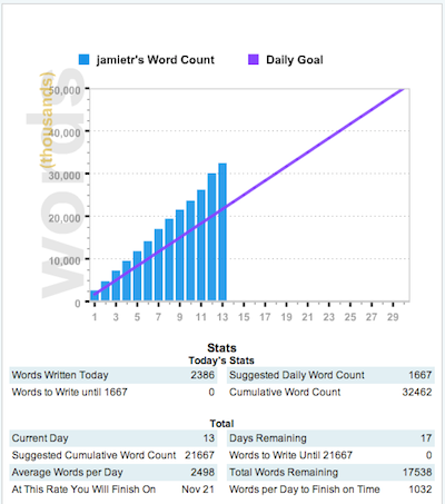 NaNoWriMo 2010 Day 13