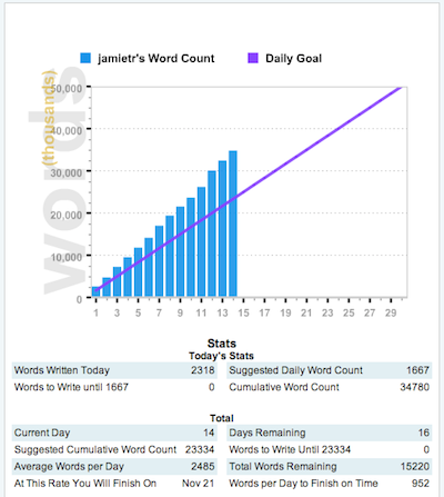 NaNoWriMo 2010 Day 14