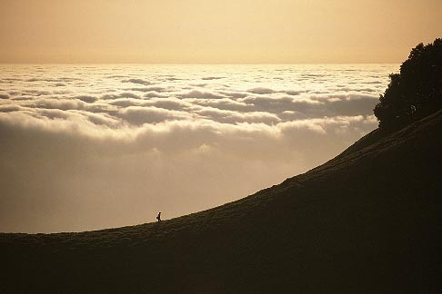 4-701-99 stock photo of California, Marin County, Mount Tamalpais State Park, Hiker on ridge