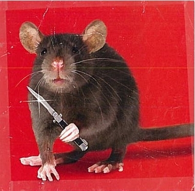 Rat with knife