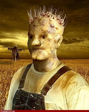 potato farmer
