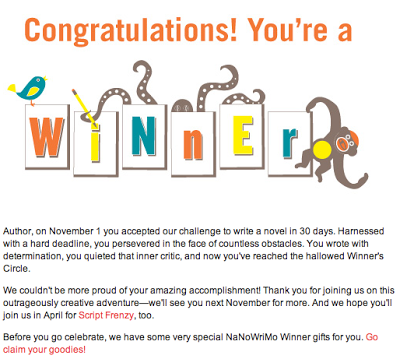 nano2010_winner.png