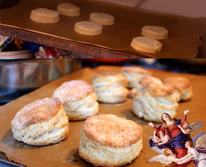angelbiscuits
