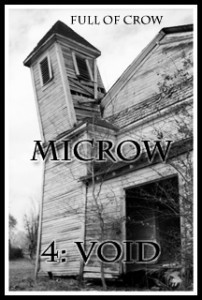 MiCrow Winter 2010 - Into the Void