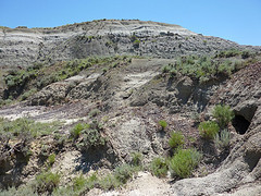 P1000878