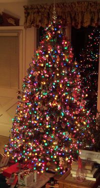 Our tree 1-13-08