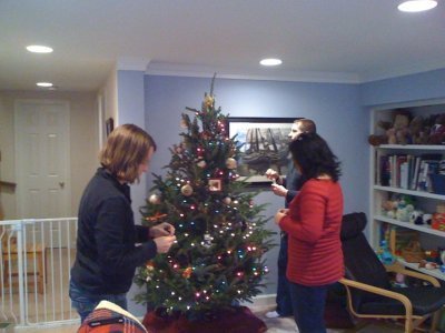 tree.jpg