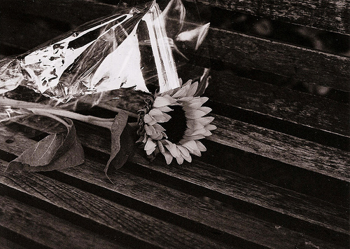 Abandoned