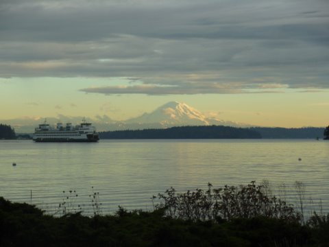 p10104691