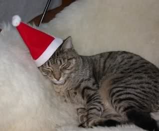 Image and video hosting by TinyPic