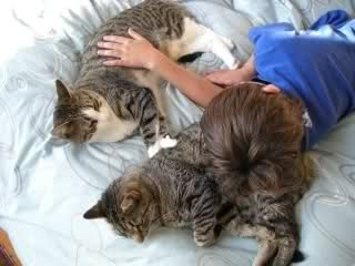 Image and video hosting by TinyPic