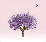 Tomorrow Morning (Eels)