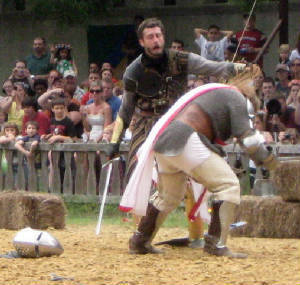 knightfight.jpg