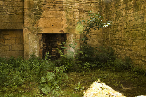 Belsay Castle 4