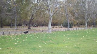 2010-12-21_11-11-16_503