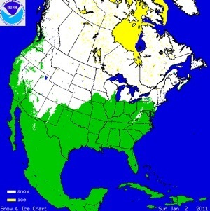 cursnow_usa.gif 512×512 pixels.jpg