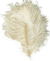 387848250_47e96ce0ce_m