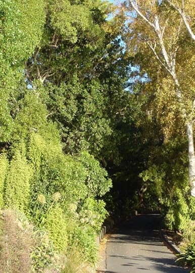 Image of a Lovely Road