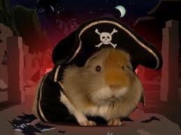 Captain Pigg