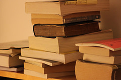 Dec 22/10 Unpacking and sorting books
