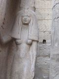 IMG_0790