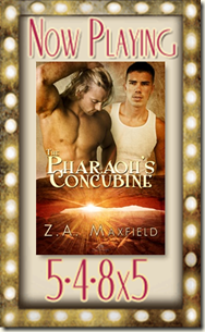 Pharaoh's concubine NP