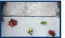 On the ground -- pic of sidewalk