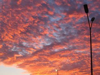 IMG_0873