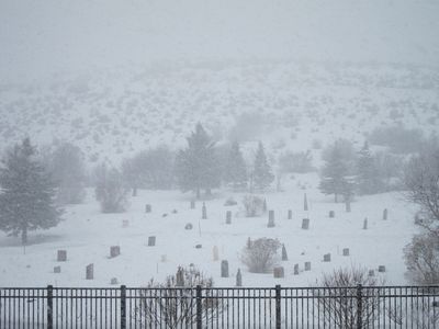 IMG_0776