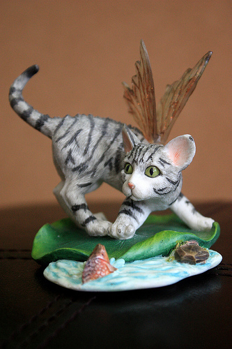 A Flying Cat
