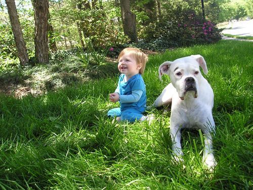 Fiduciary Katie & Rose 2