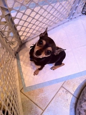 Walter