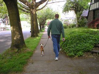 Dad & Dog
