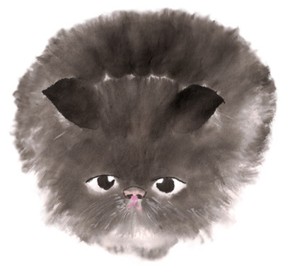 surlycat1