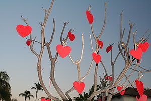 Tree decorated for Valentine's Day in San Dieg...