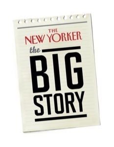 perm_bigstorylogo_p233.jpg