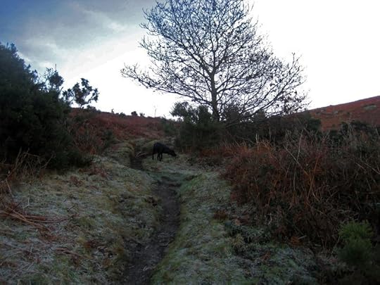 Climbing Nattadon Hill
