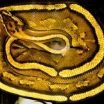 26880_10150184897760305_741015304_11941065_7458505_n